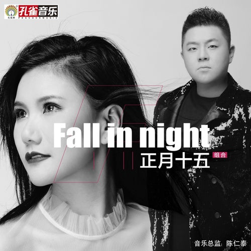 Fall In Night