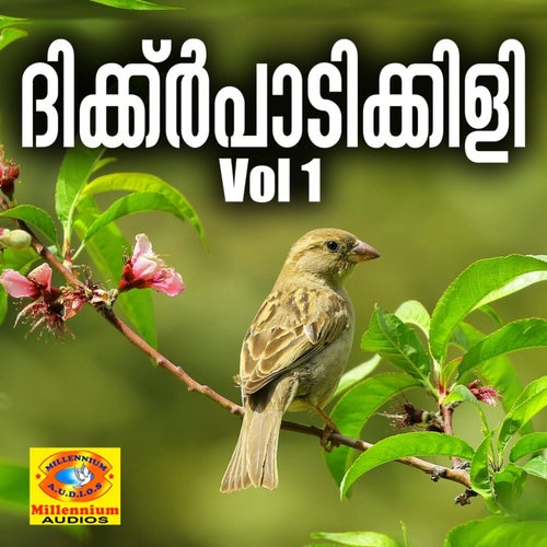 Dikkarpadikili, Vol. 1