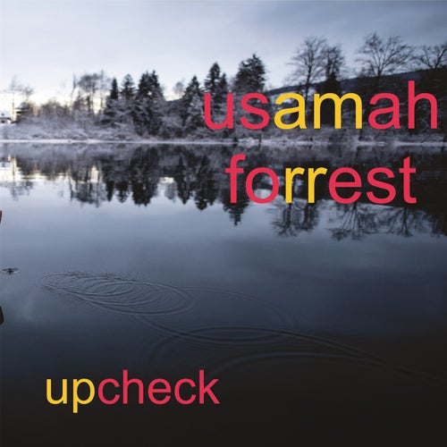 Upcheck