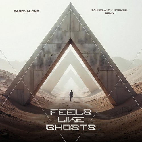 Feels Like Ghosts (Remix)