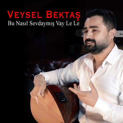 Bu Nasıl Sevdaymış (Vay Le Le)