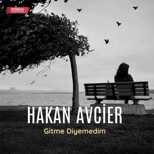 Gitme Diyemedim