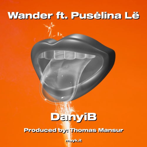 Wander ft. Puslina L