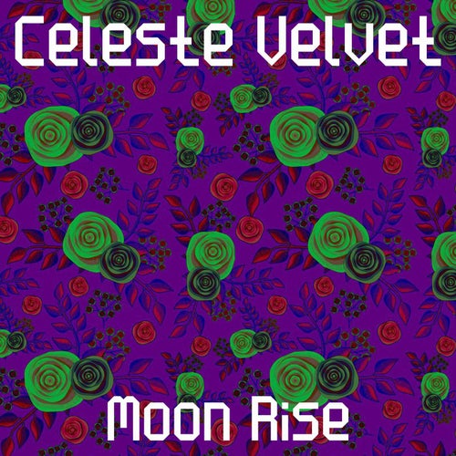 Moon Rise
