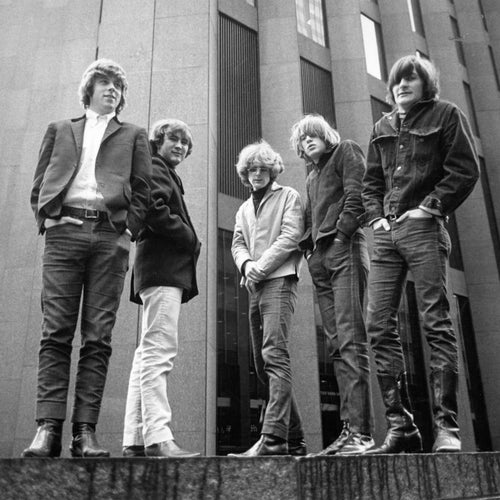 The Byrds Profile
