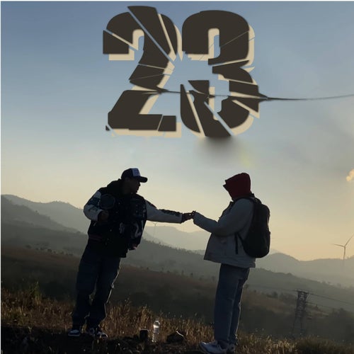 23