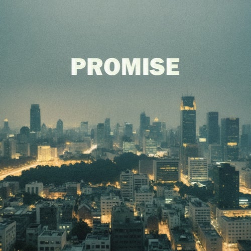 PROMISE