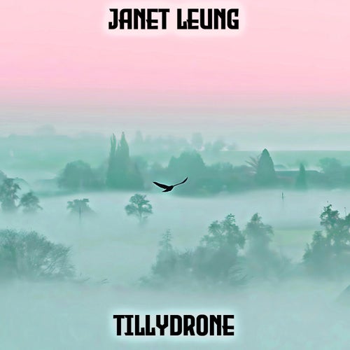 Tillydrone