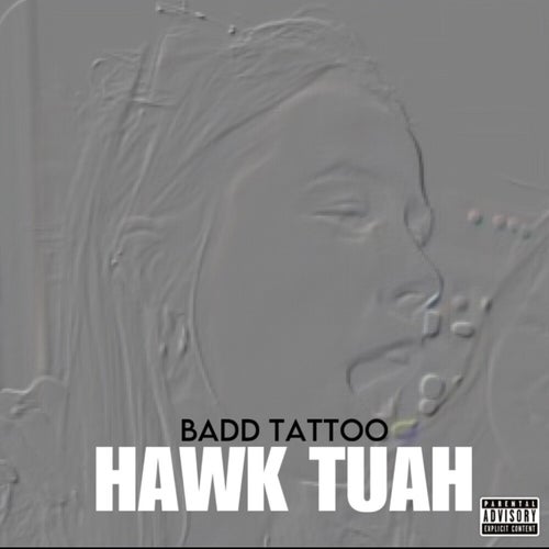 Hawk Tuah