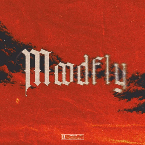 MOODFLY