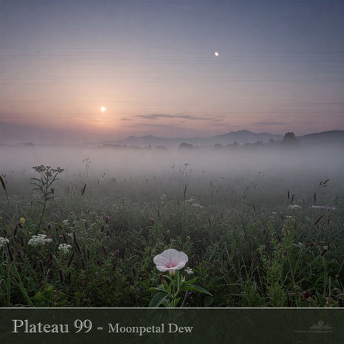 Moonpetal Dew