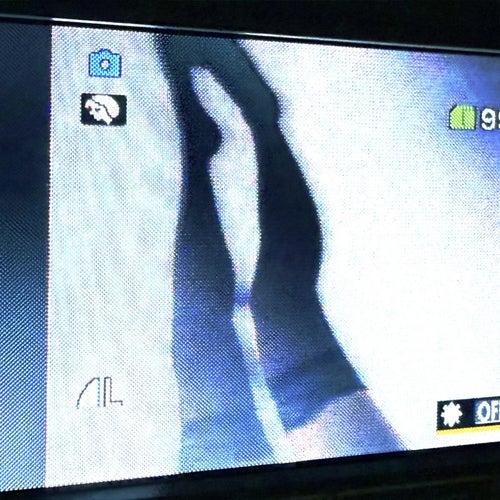 i got a lot on my plate