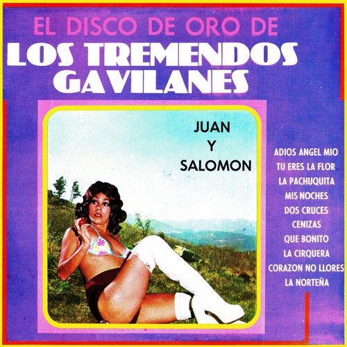 El disco de oro de los tremendos gavilanes Juan y Salomon