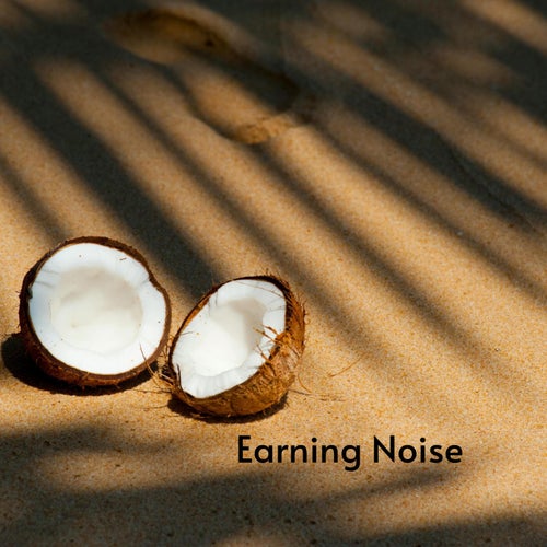 Earning Noise