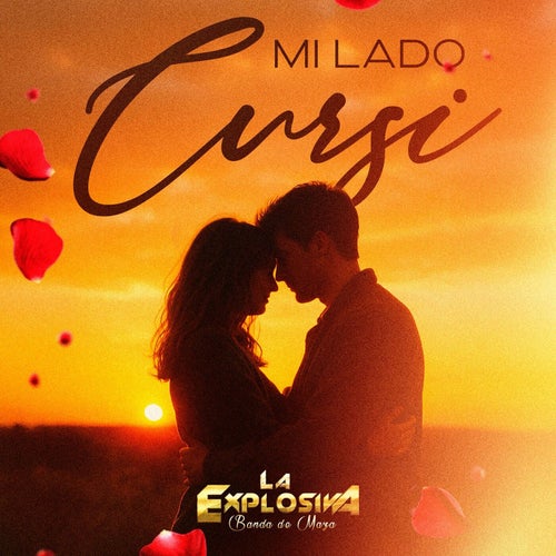 Mi Lado Cursi