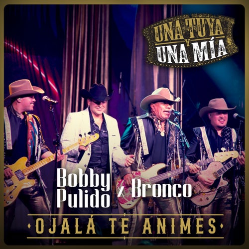 Ojalá Te Animes (En Vivo)
