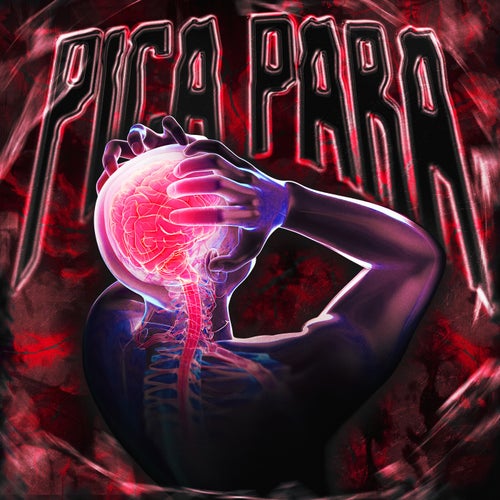 PICA PARA