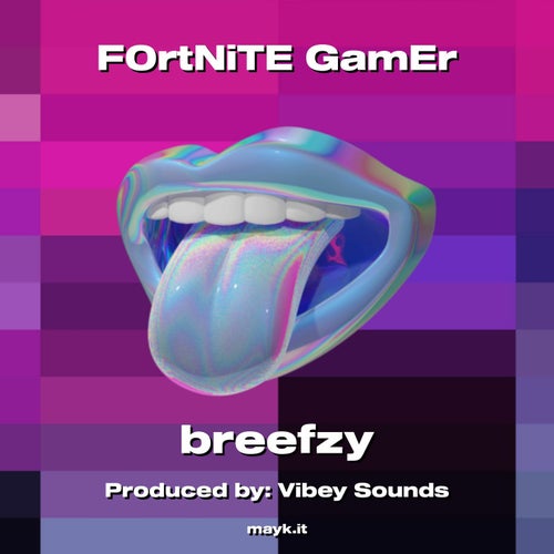 F0rtNiTE GamEr