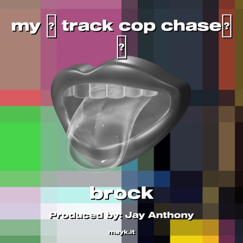 my  track cop chase