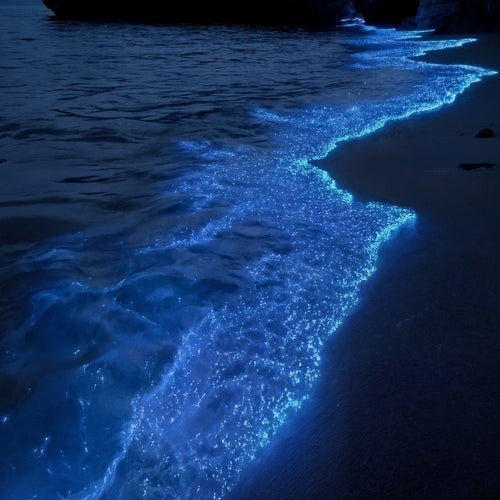 damsay