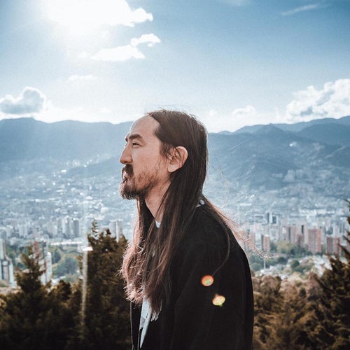 Steve Aoki Profile