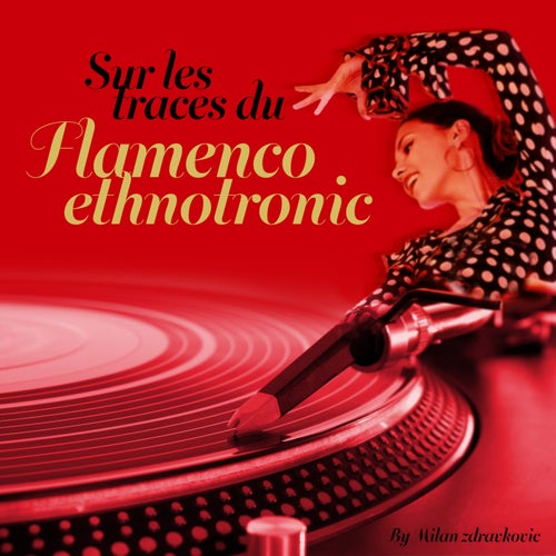 Sur  les traces du Flamenco Ethnotronic