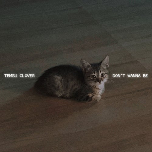 Don't Wanna Be