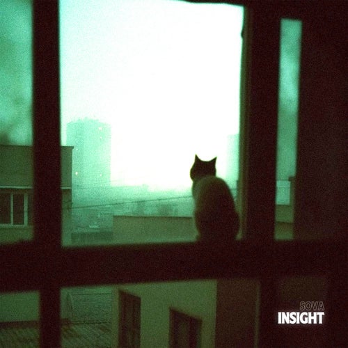 Insight