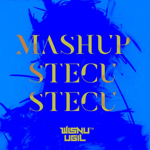 MASHUP STECU STECU