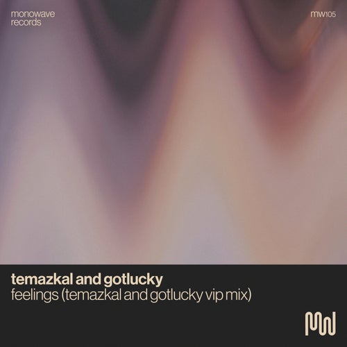 Feelings (Temazkal & Gotlucky VIP Mix)