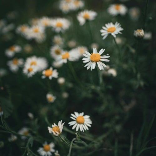 Relaxing in the Rain (Chillout)