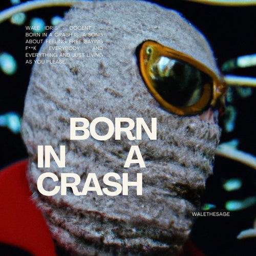Born In A Crash