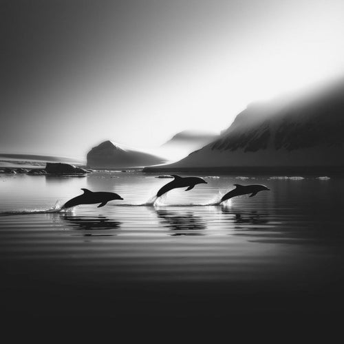 Mysterious Ocean