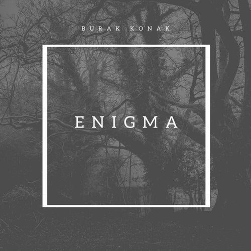 Enigma