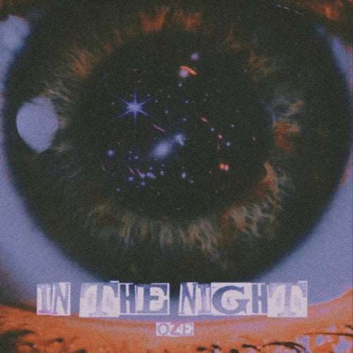 in the night