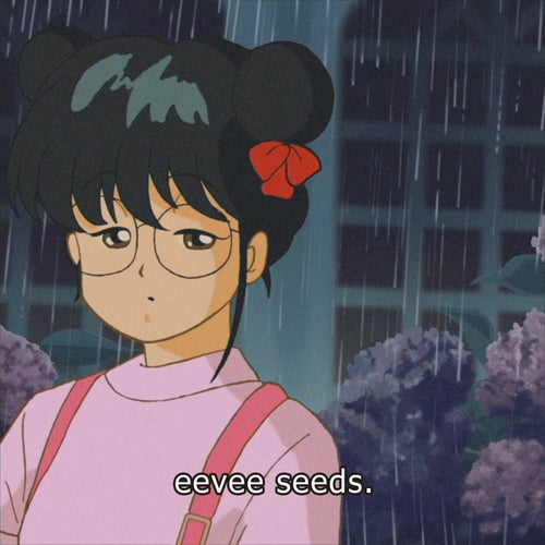 seeds