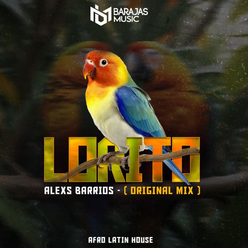 Lorito (Original Mix)