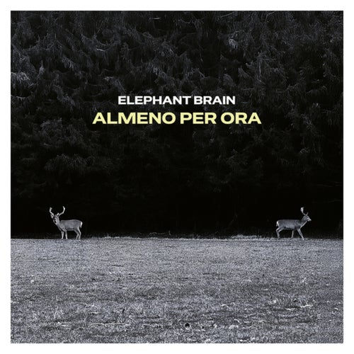Almeno per ora