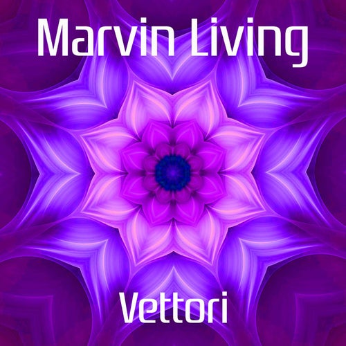 Vettori