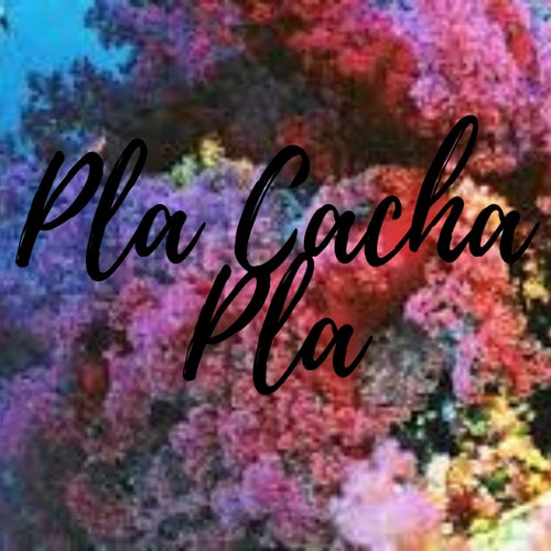 Pla Cacha Pla