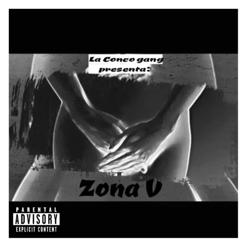 Zona V