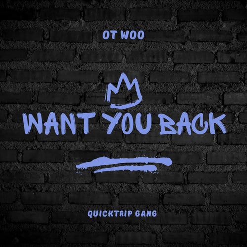 Want You Back