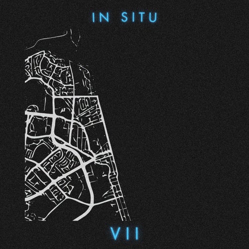 In Situ: VII