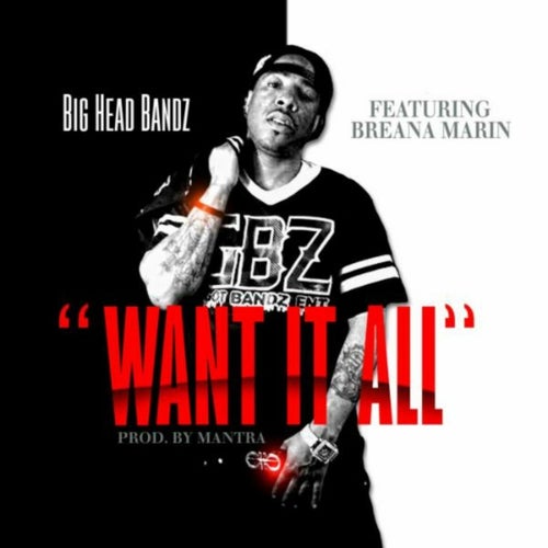 Want It All (feat. Breana Marin)
