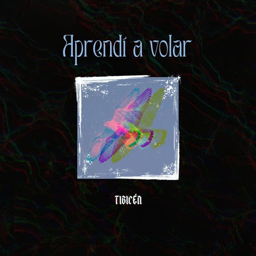 Aprendí a volar