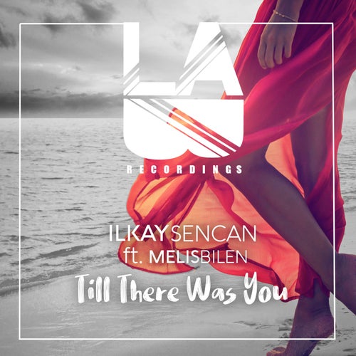 Till There Was You