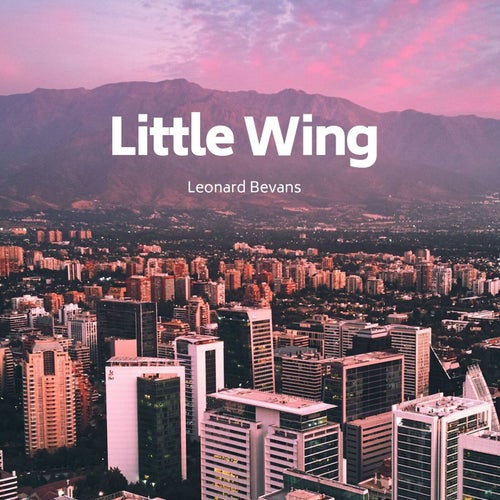 Little Wing