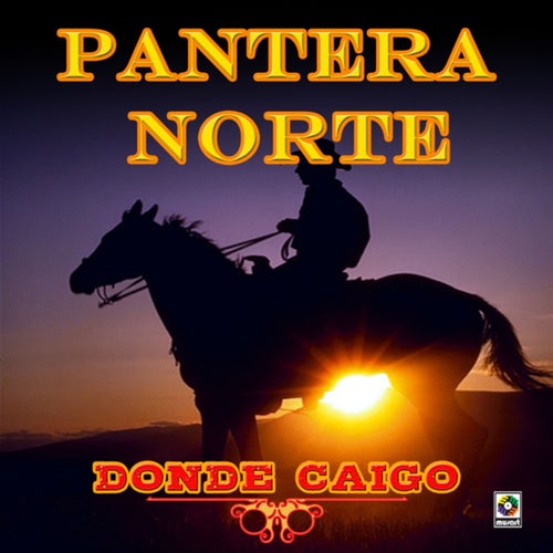 Donde Caigo