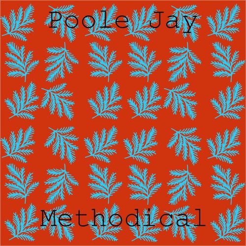 Methodical