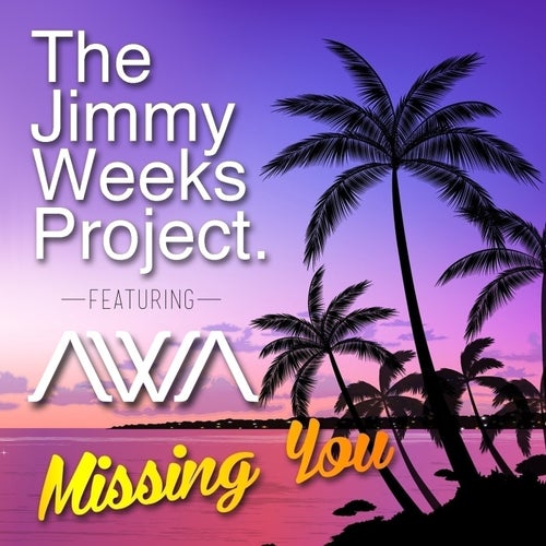 Missing You (feat. Awa) - Single